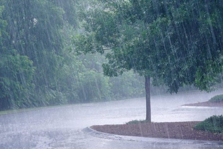 Monsoon sets in over Odisha