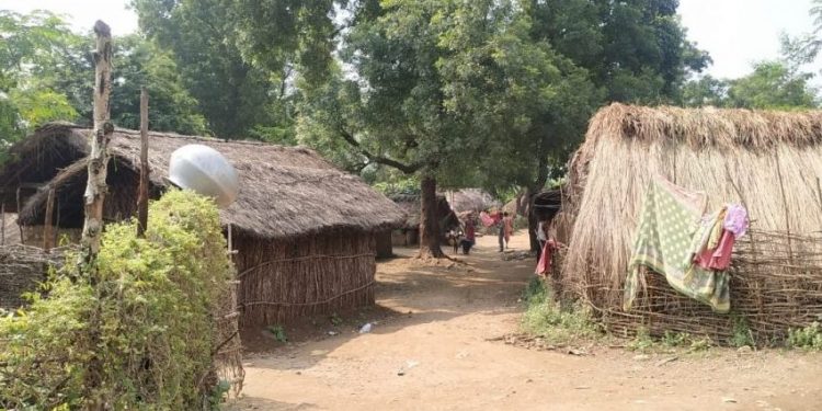Residents flee as healthcare team approaches Rayagada village for vaccination
