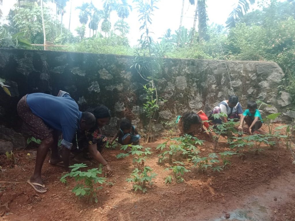 Rural women in Khurda take to kitchen gardening