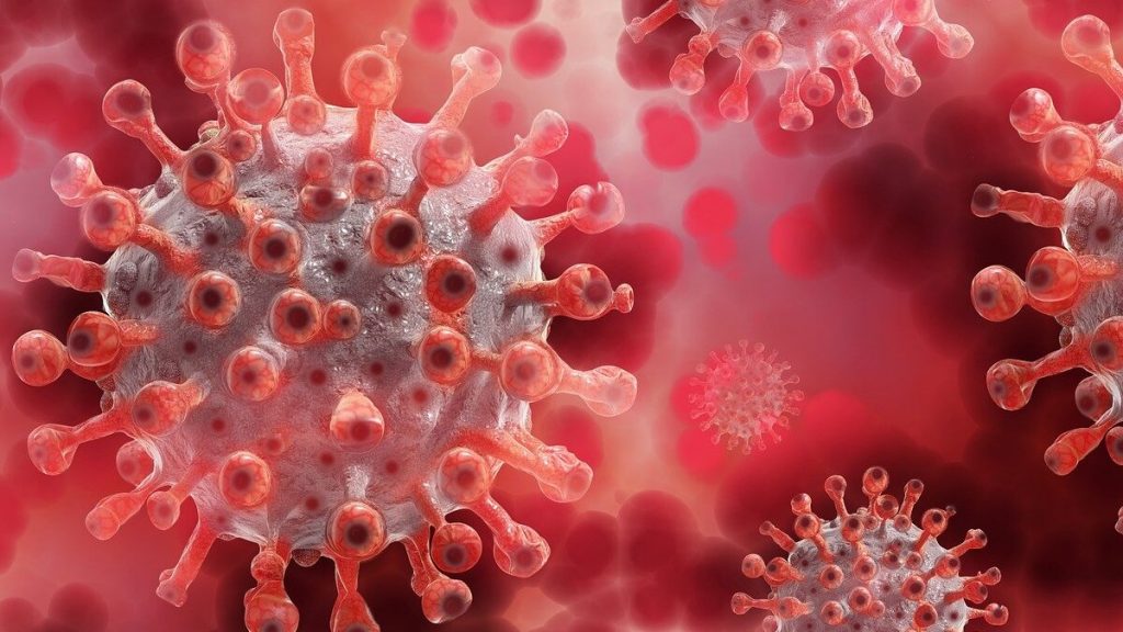 Virus