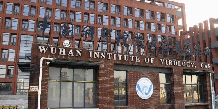 Wuhan Institute
