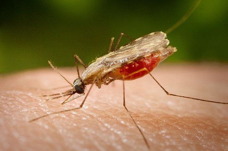 AI powered microscope installed in Odisha's Malkangiri to detect malaria