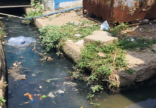 Dengue spreads in Jagatsinghpur