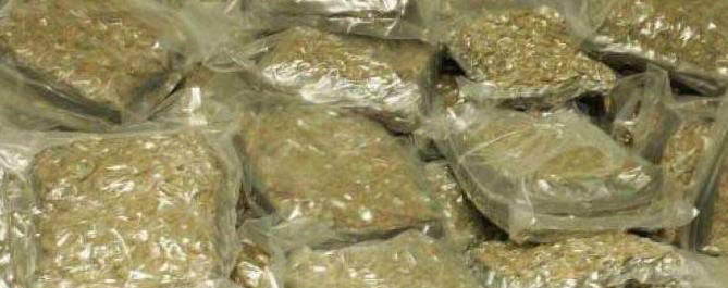 Ganja over 1 quintal seized in Koraput district, 3 held