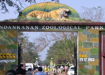Nandankanan zoo gets its new guest as hippo gives birth to healthy calf