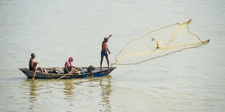 SETU yojana comes a cropper in Malkangiri