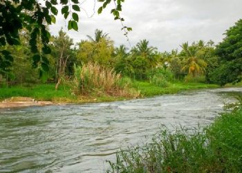 State govt to rejuvenate Alaka river in Jagatsinghpur  