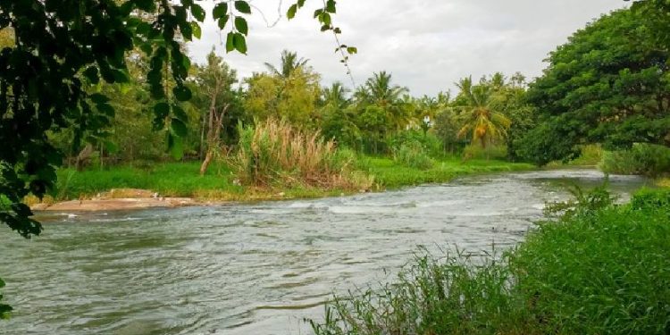 State govt to rejuvenate Alaka river in Jagatsinghpur  