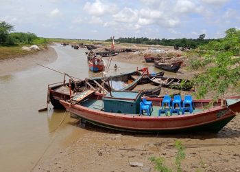 Balasore’s Bichitrapur, a visitors’ paradise