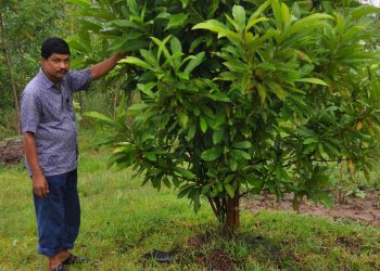 Bhadrak teacher wins hearts for planting over 8,000 trees 