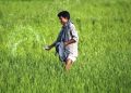 Kisan Credit
