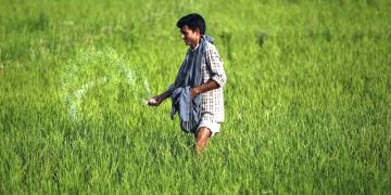 Kisan Credit