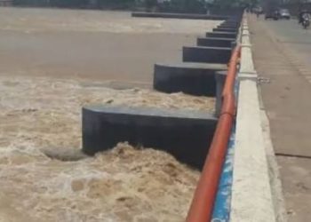 Carcass, suspected to be of stranded elephant in Mahanadi, spotted at Jobra barrage