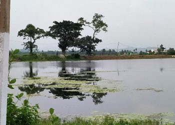 Effort to attract visitors Govt to beautify Samarjhola pond