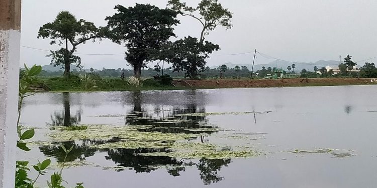Effort to attract visitors Govt to beautify Samarjhola pond