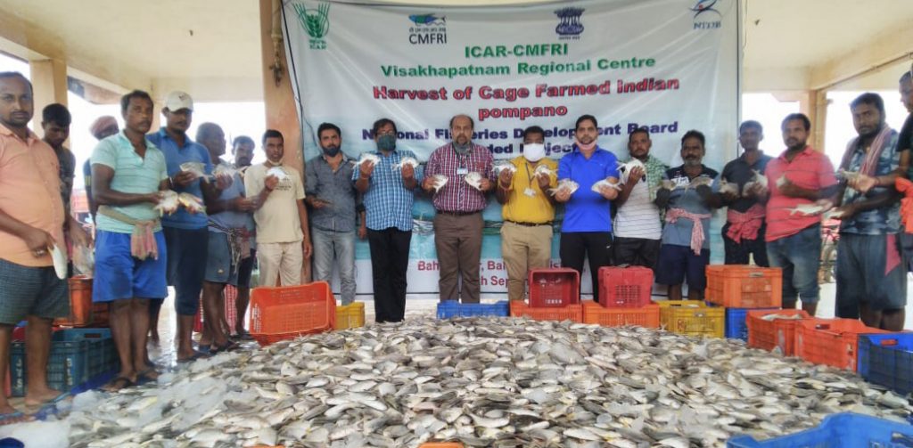 Flood plays spoilsport for cage fish farming in Balasore