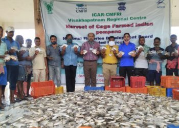 Flood plays spoilsport for cage fish farming in Balasore