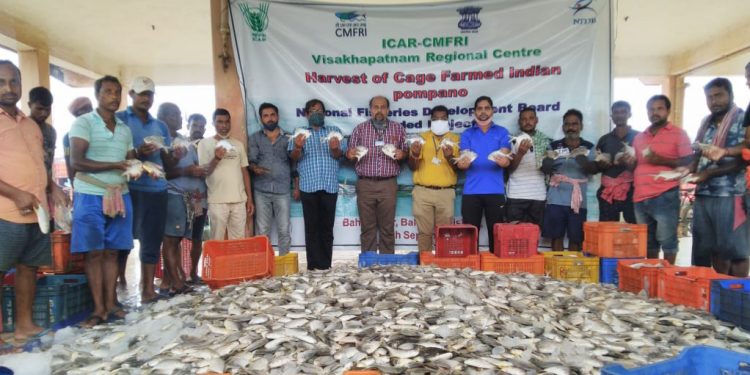 Flood plays spoilsport for cage fish farming in Balasore