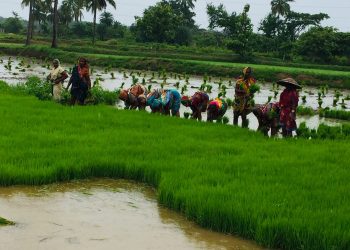 Ganjam farmers seek agri college