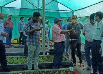 Potato farming gets boost in Koraput