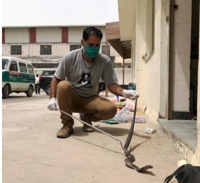 snake catcher or snake handler