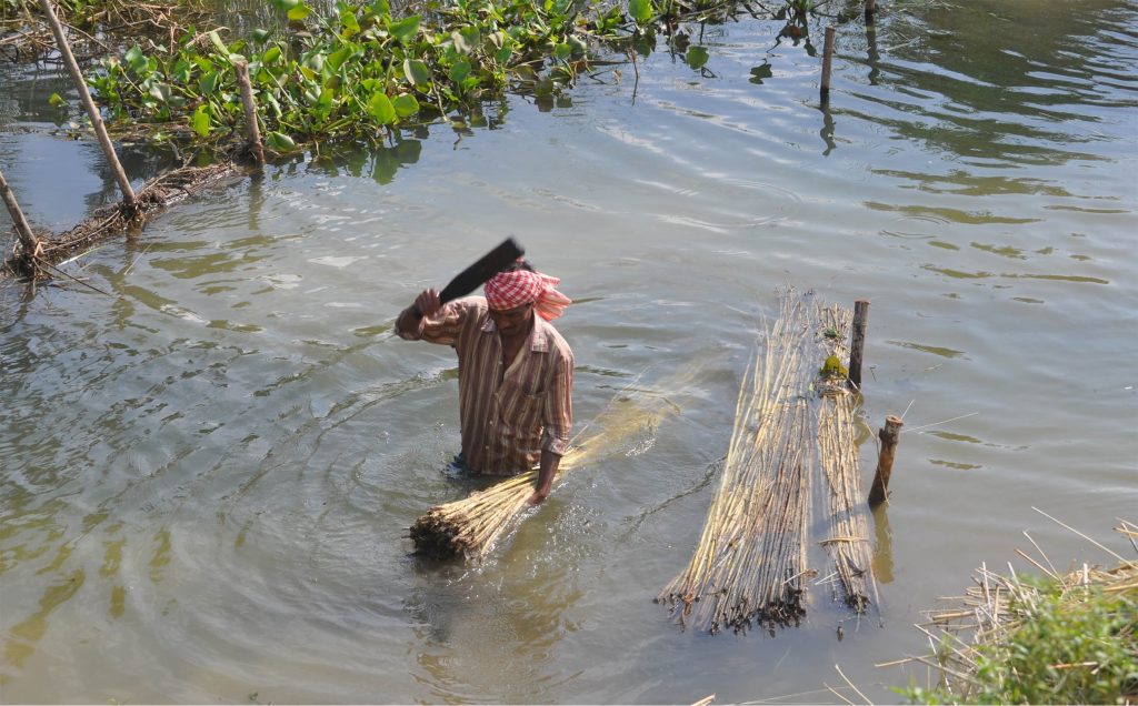 90 pc fall in Kendrapara's jute crop 