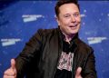 Musk supports Trump's 'Truth Social' app on Twitter