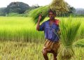 Jajpur Probe ordered into loan scam in PACS