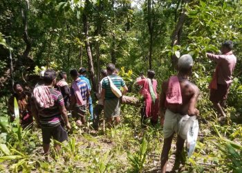 Nayagarh villagers reclaim ownership over forests