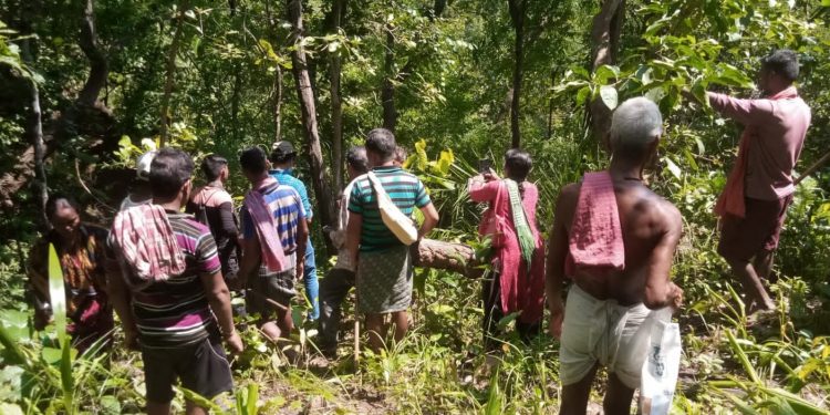 Nayagarh villagers reclaim ownership over forests