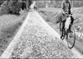 Road in bad shape for 5 years, villagers fume