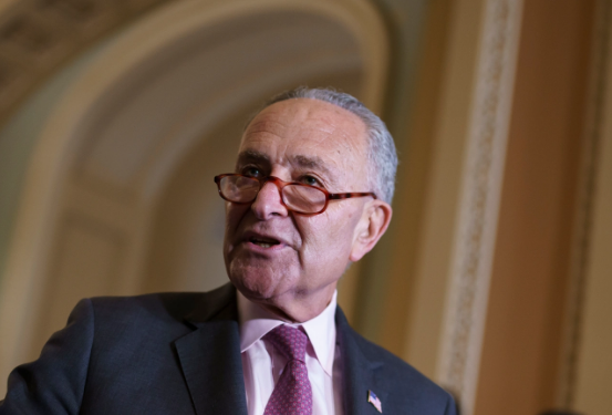 India precisely kind of partner US needs to provide check against China: Senator Schumer