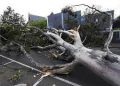 Pic Credit: AP