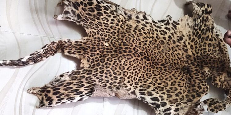 Leopard skin