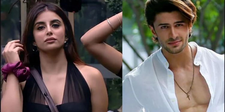 'Bigg Boss 15': Miesha Iyer, Ieshaan Sehgaal evicted from the house