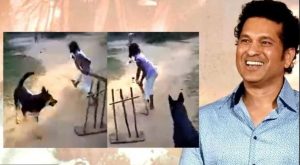 Watch video: Sachin Tendulkar impressed by dog’s ‘sharp ball catching skills’