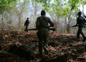 Security forces, Red Rebels exchange fire in Kalahandi forest