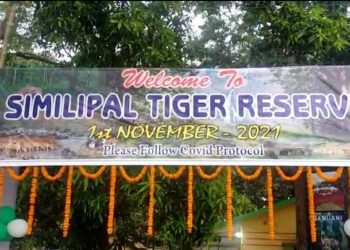 Similipal National Park reopens for visitors