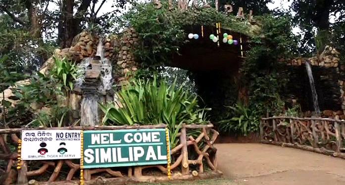 Similipal National Park to reopen for visitors from November 1