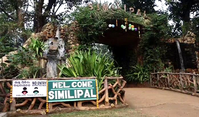 Similipal National Park to reopen for visitors from November 1