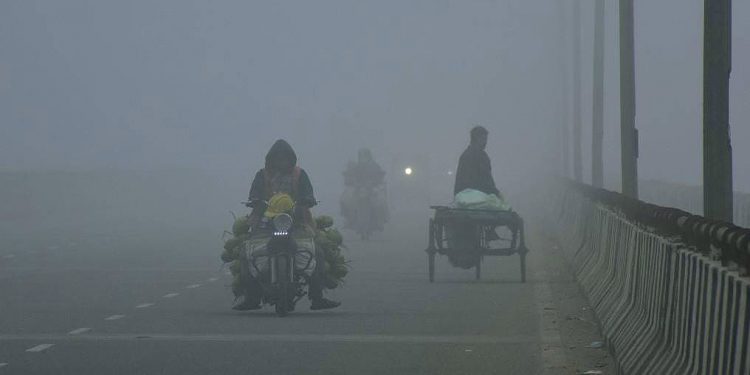 Fog envelops north India amid cold wave; 4 dead in UP road accident