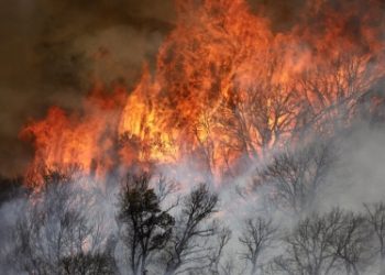 Colorado wildfire