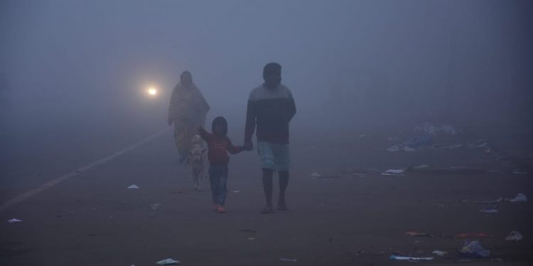 Cold wave and fog in Odisha
