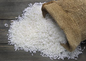 Rice grain