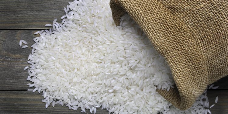 Rice grain