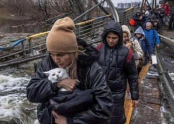 73,000 evacuated from conflict-hit areas in Ukraine Crisis in Aug