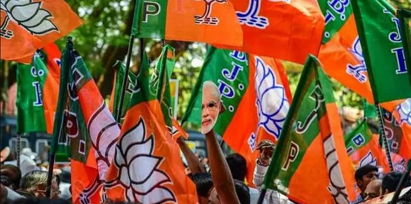 BJP flags