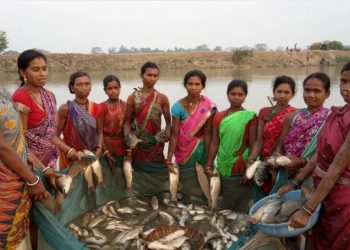 Fish farming