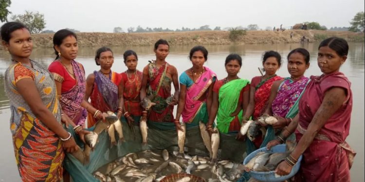 Fish farming