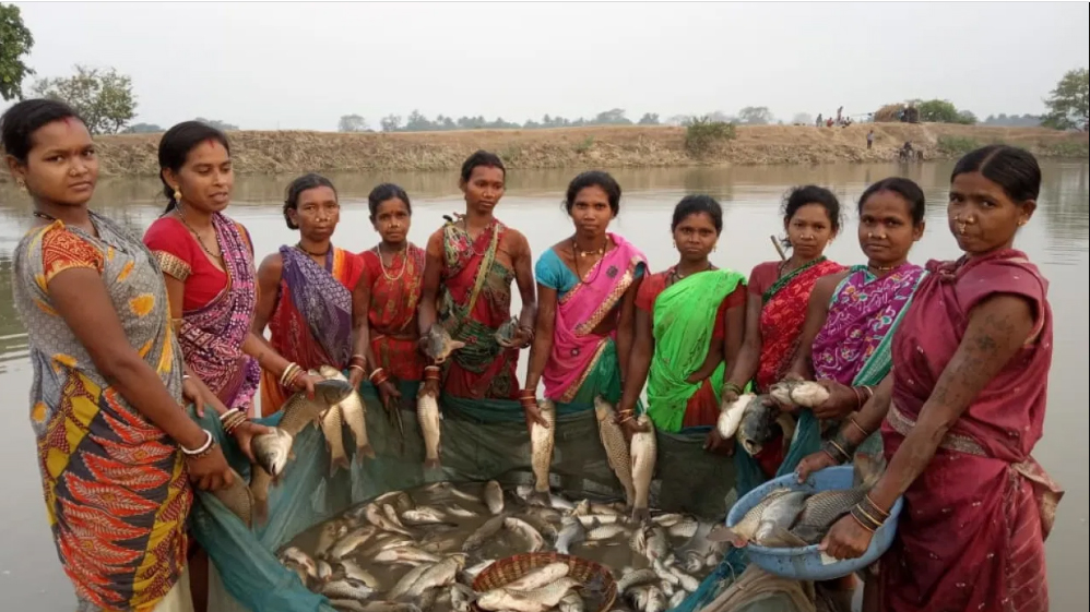 Fish farming